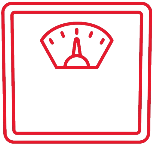 body weight scale icon